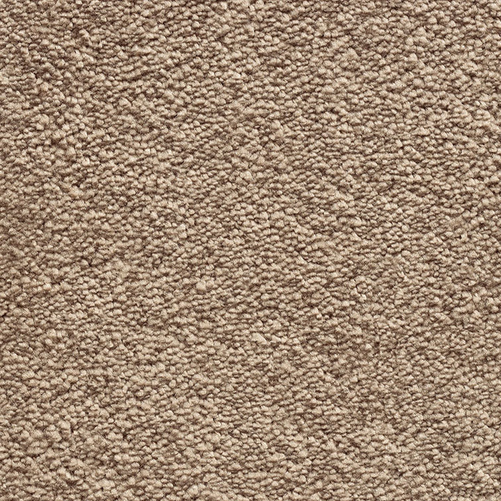Tender Touch Classic 173 Carpet