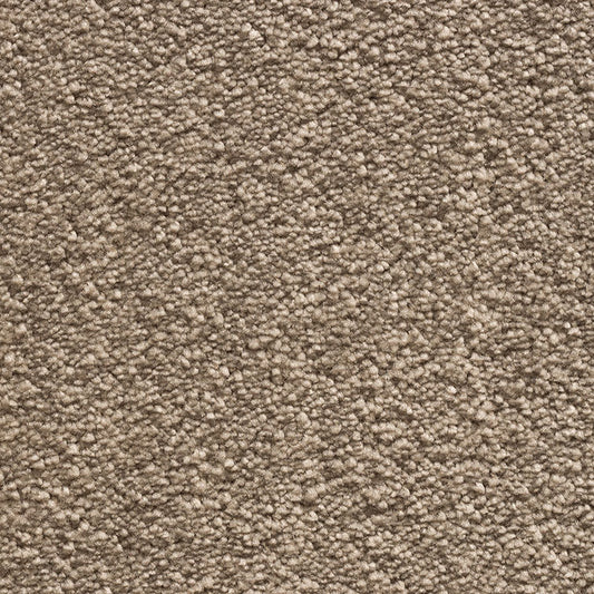 Tender Touch Classic 73 Carpet