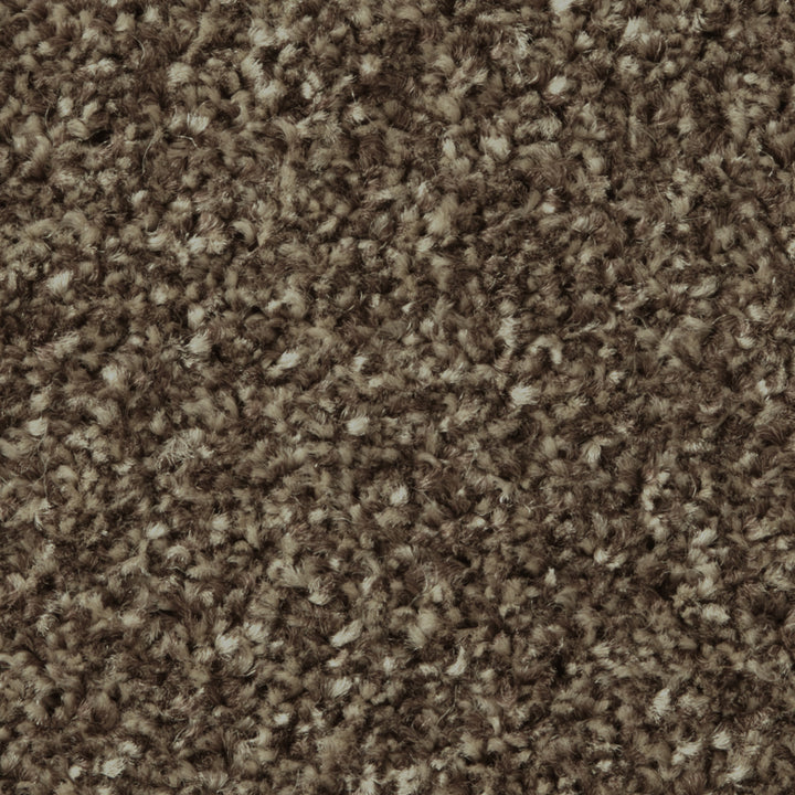 Apollo Plus AB Mahogany Carpet