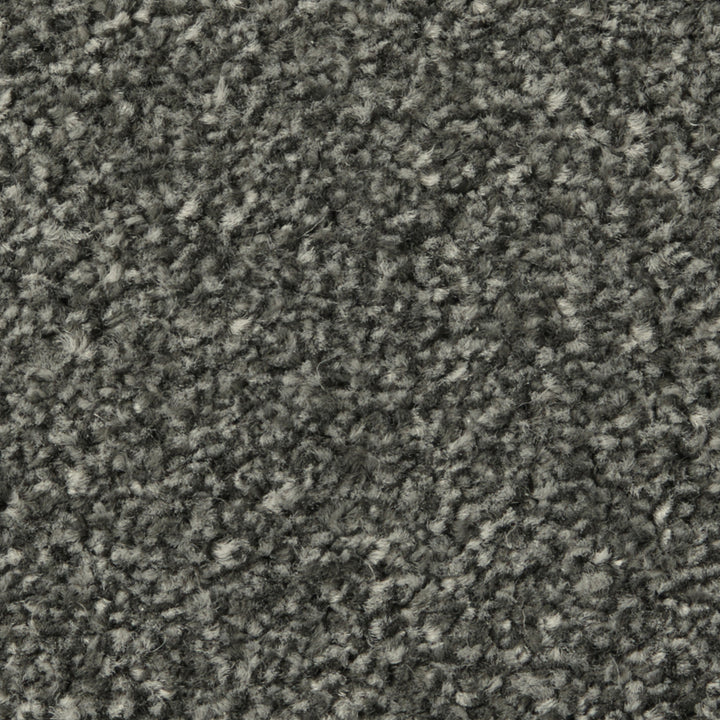 Apollo Plus AB Nigella Carpet