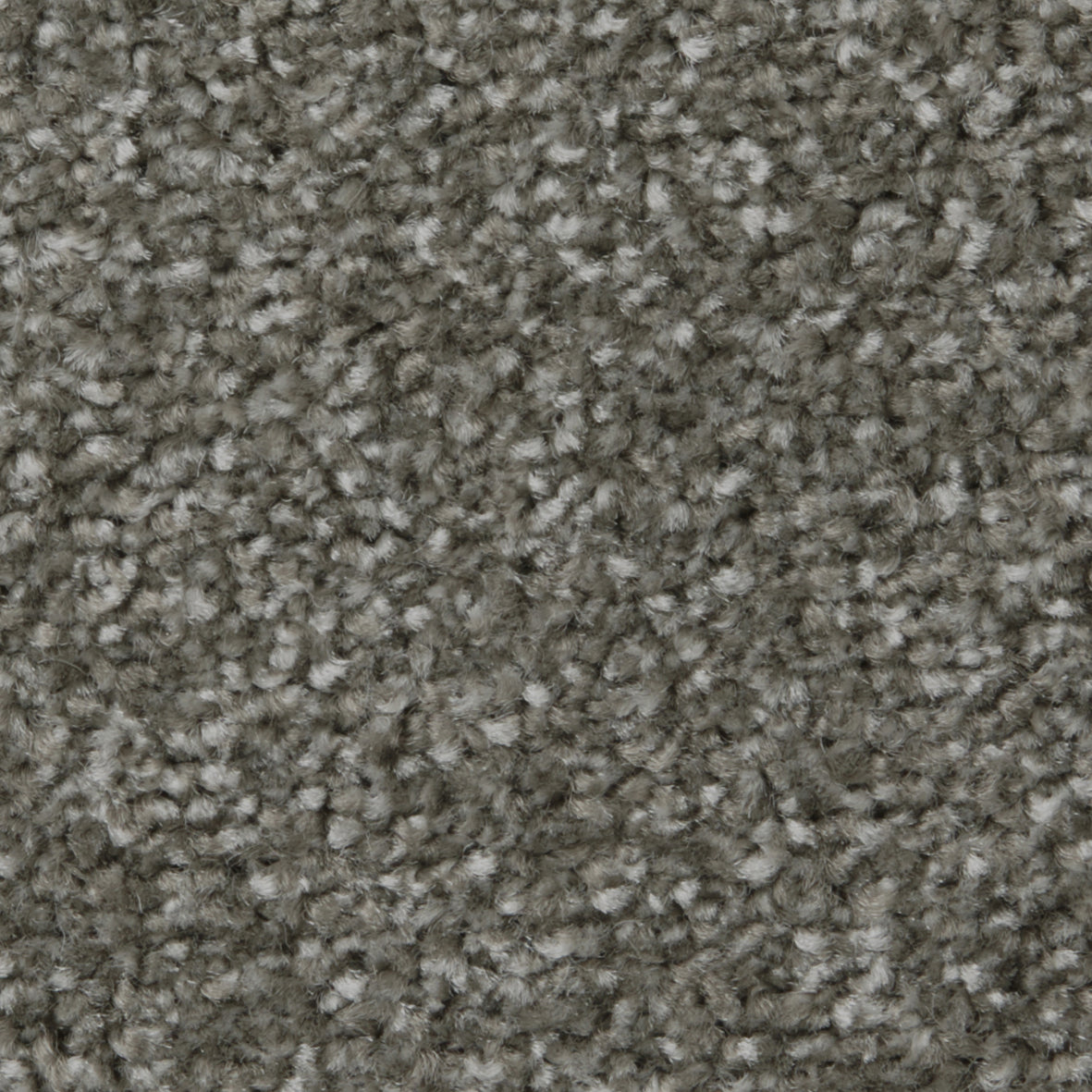 Apollo Plus AB Cinder Grey Carpet