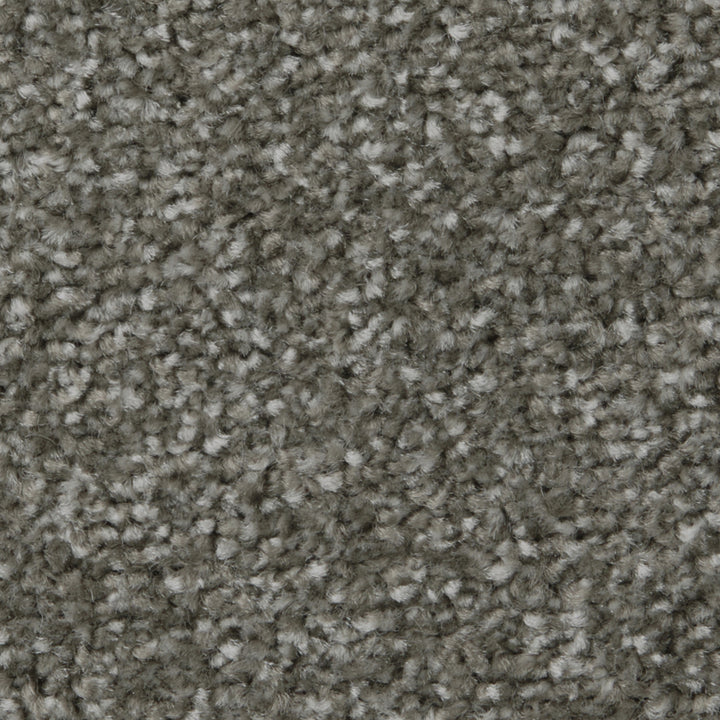 Apollo Plus AB Cinder Grey Carpet