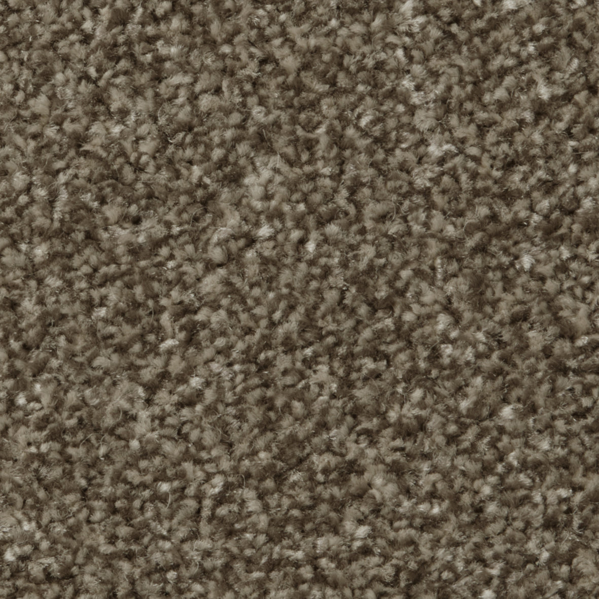 Apollo Plus AB Cork Oak Carpet