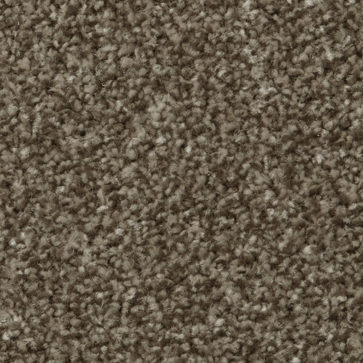 Apollo Plus AB Cork Oak Carpet