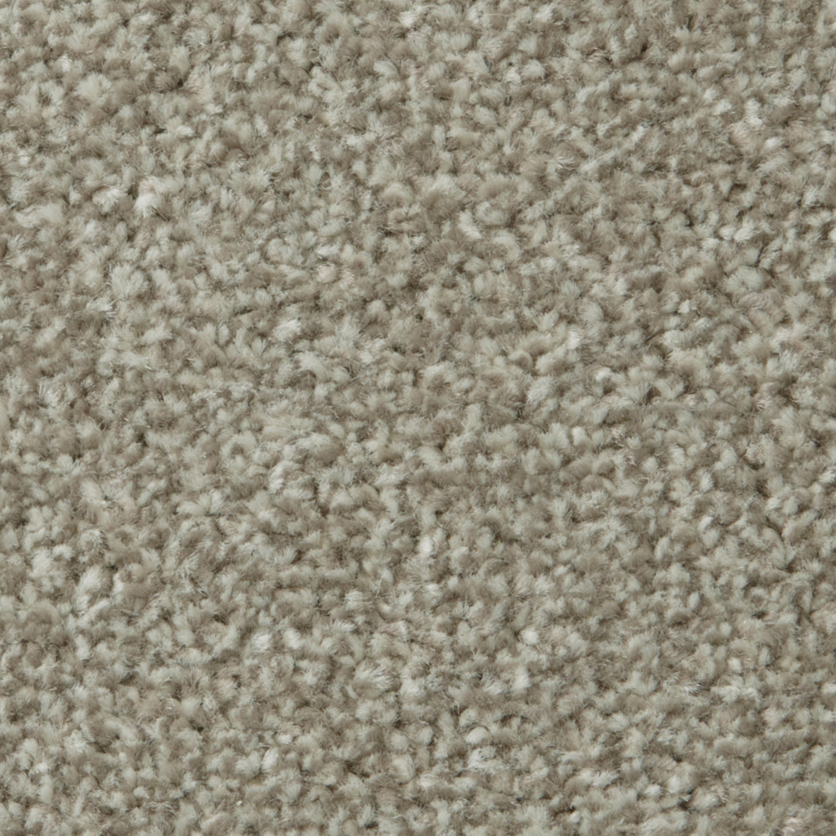 Apollo Plus AB Manhatten Taupe Carpet