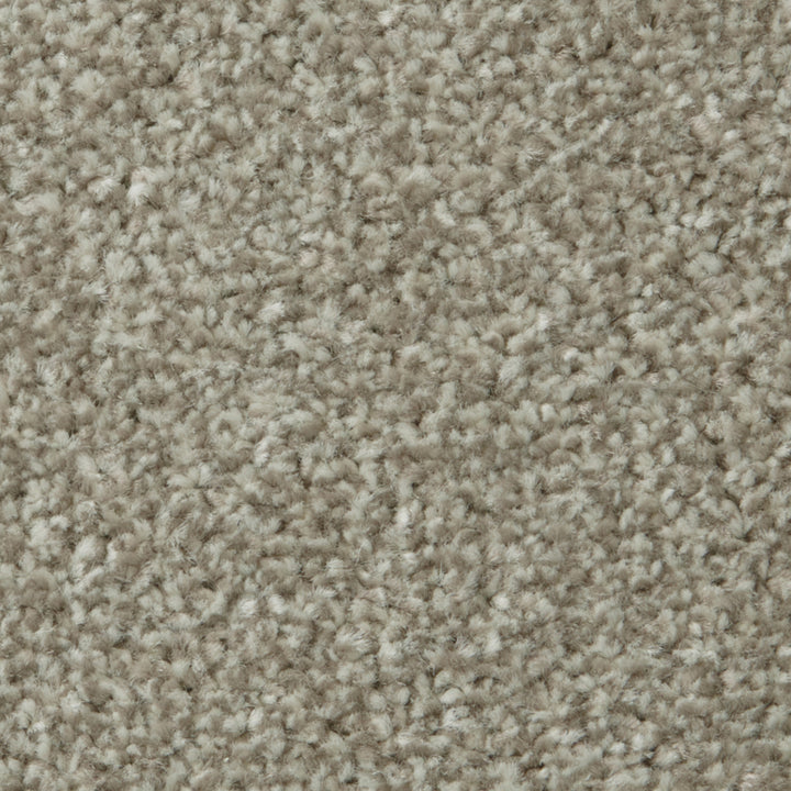 Apollo Plus AB Manhatten Taupe Carpet
