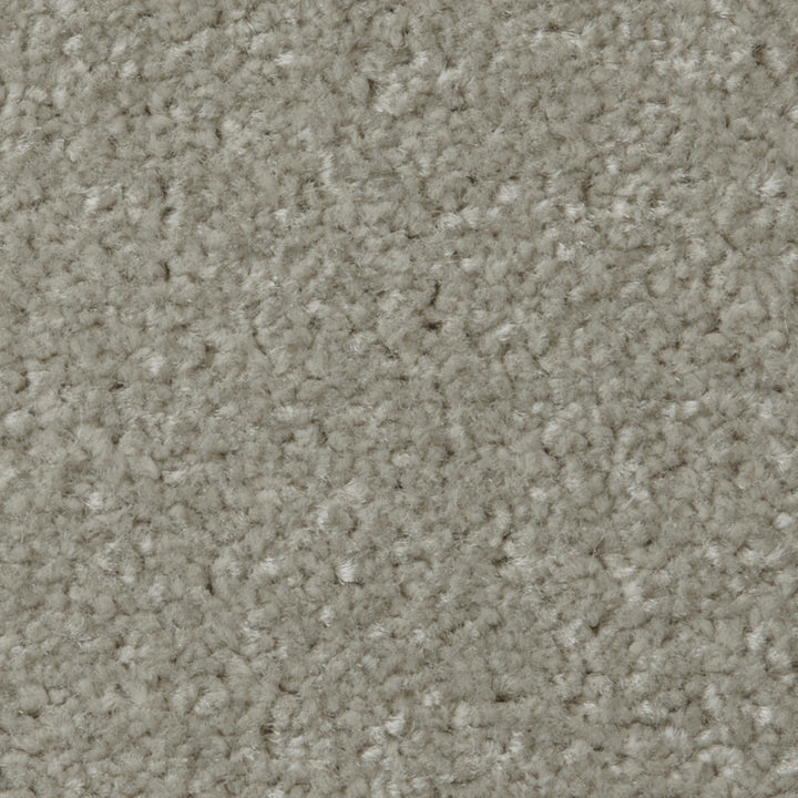 Apollo Plus AB Smokestack Carpet
