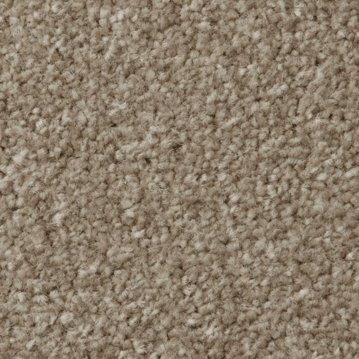 Apollo Plus AB Stepping Stone Carpet