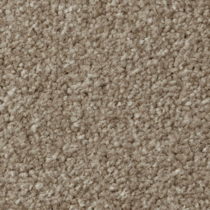 Apollo Plus AB Stepping Stone Carpet