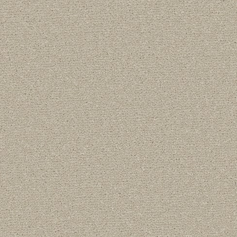 Apollo Plus AB Pebblestone Carpet
