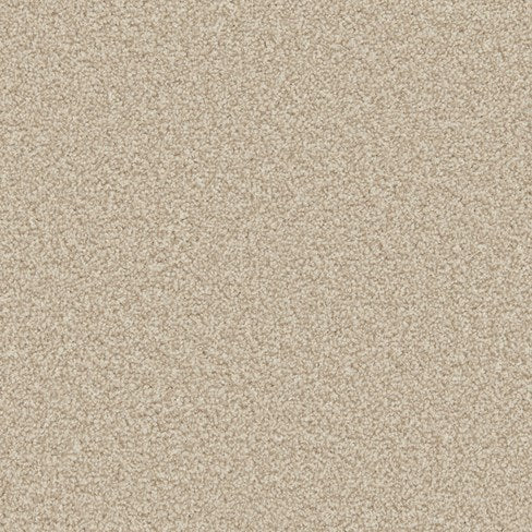 Apollo Plus AB Shortbread Carpet