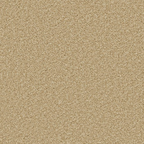 Apollo Plus AB Caramel Carpet