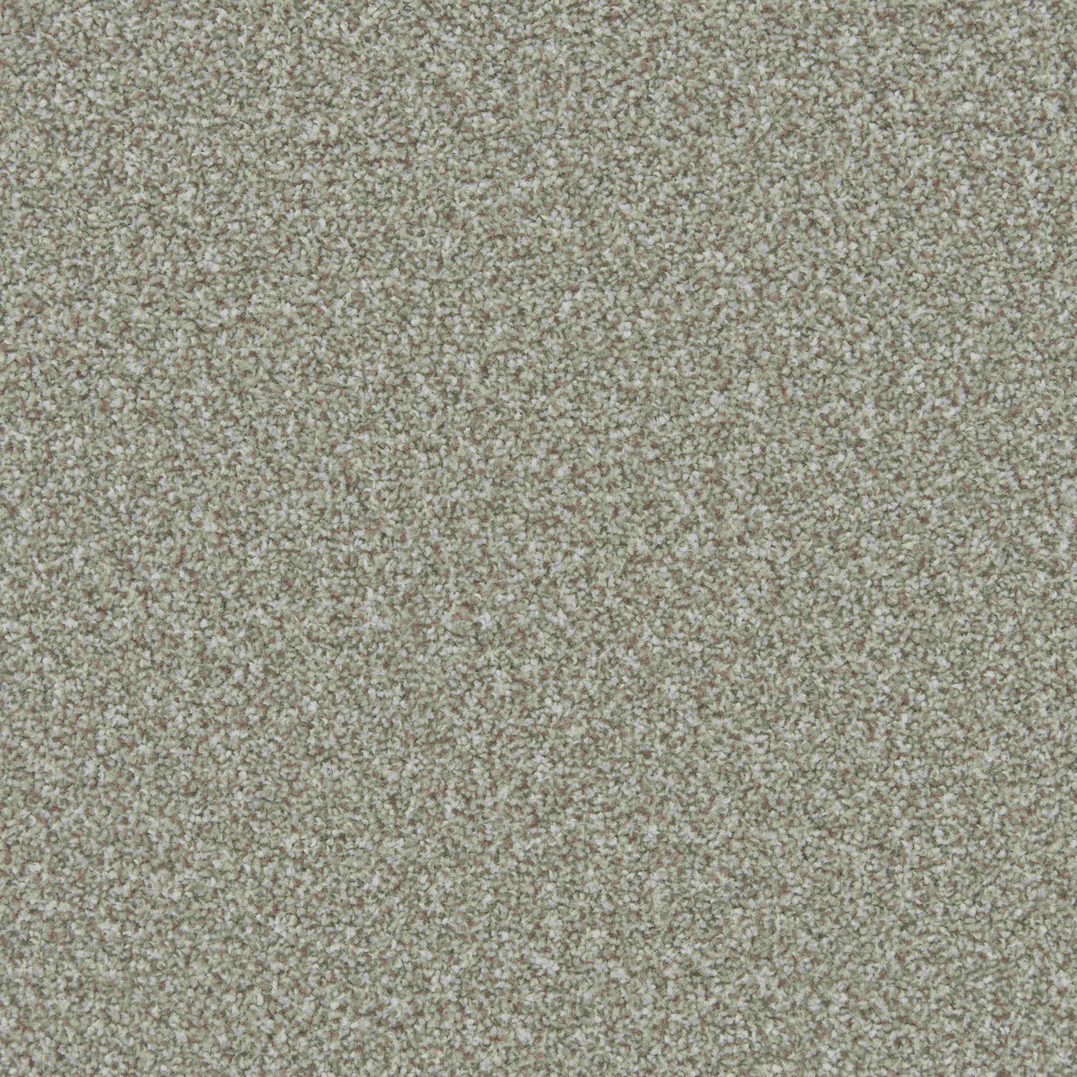 Apollo Plus AB Persian Doll Carpet