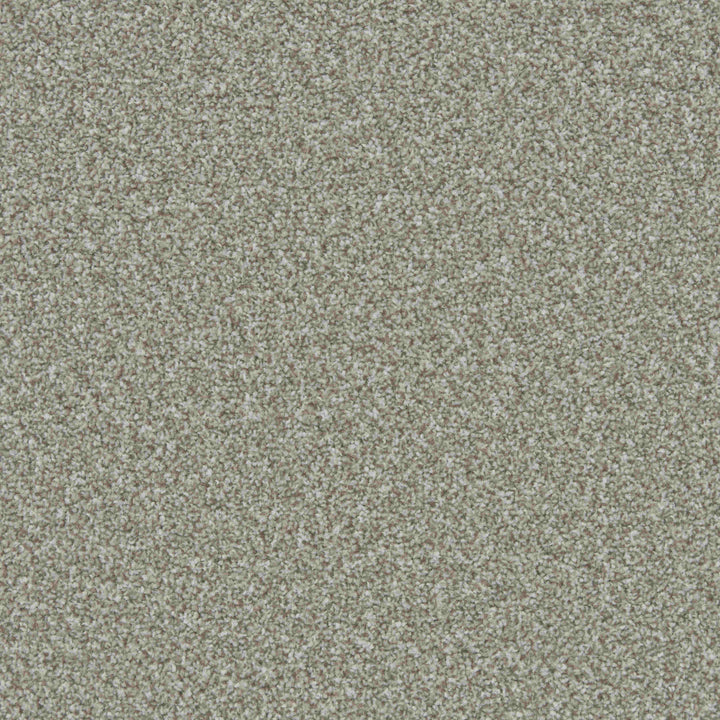 Apollo Plus AB Persian Doll Carpet