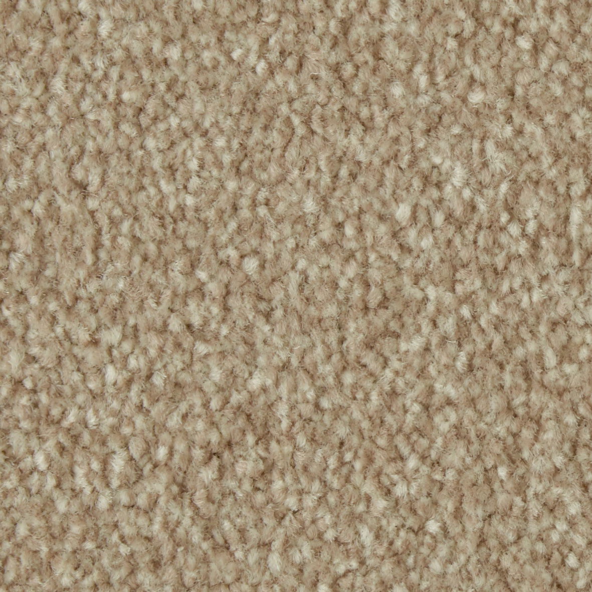 Primo Ultra AB Curlew Carpet