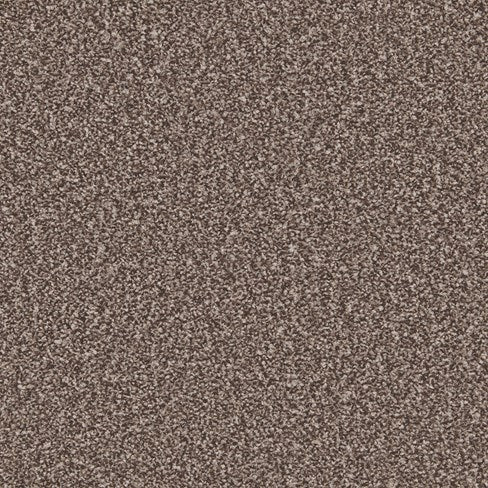 Primo Ultra AB Peppercorn Carpet