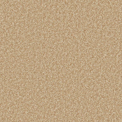 Primo Ultra AB Foxton Flax Carpet