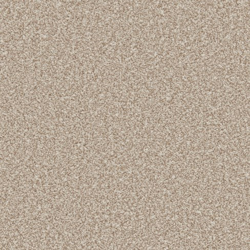 Primo Ultra AB Doeskin Carpet