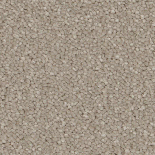 Sensation Original AB Ammonite Carpet