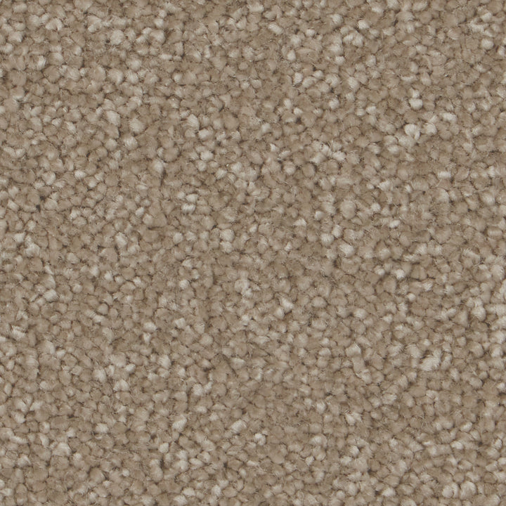 Sensation Original AB Arctic Grey Carpet