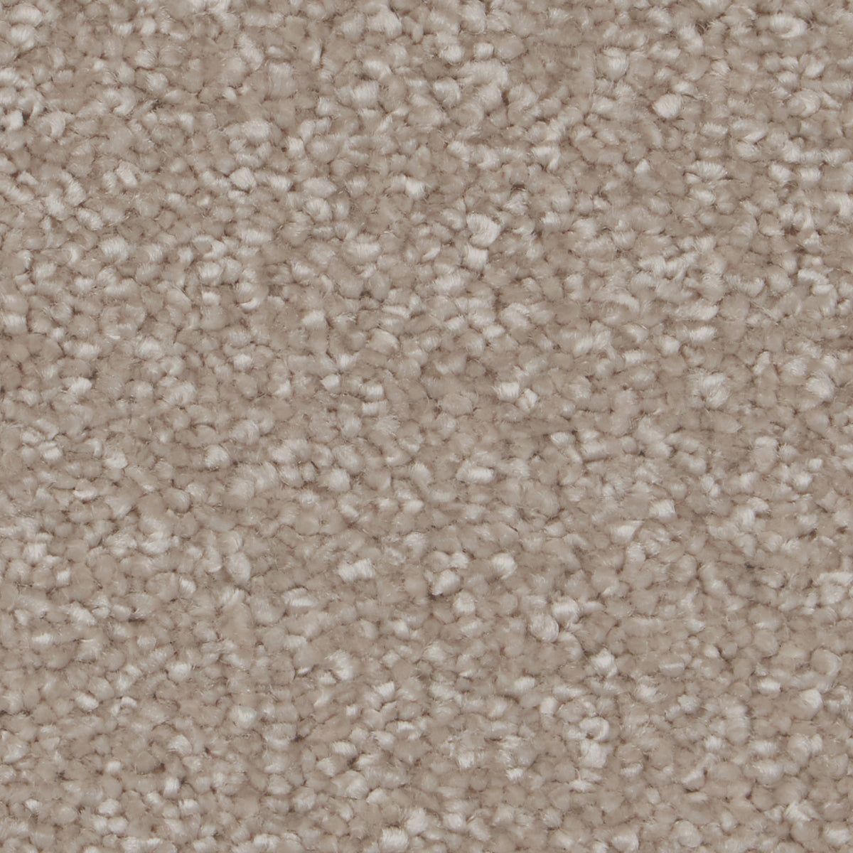 Sensation Original AB Light Taupe Carpet