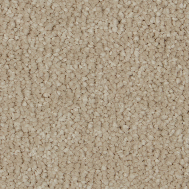 Sensation Original AB Monterey Sand Carpet