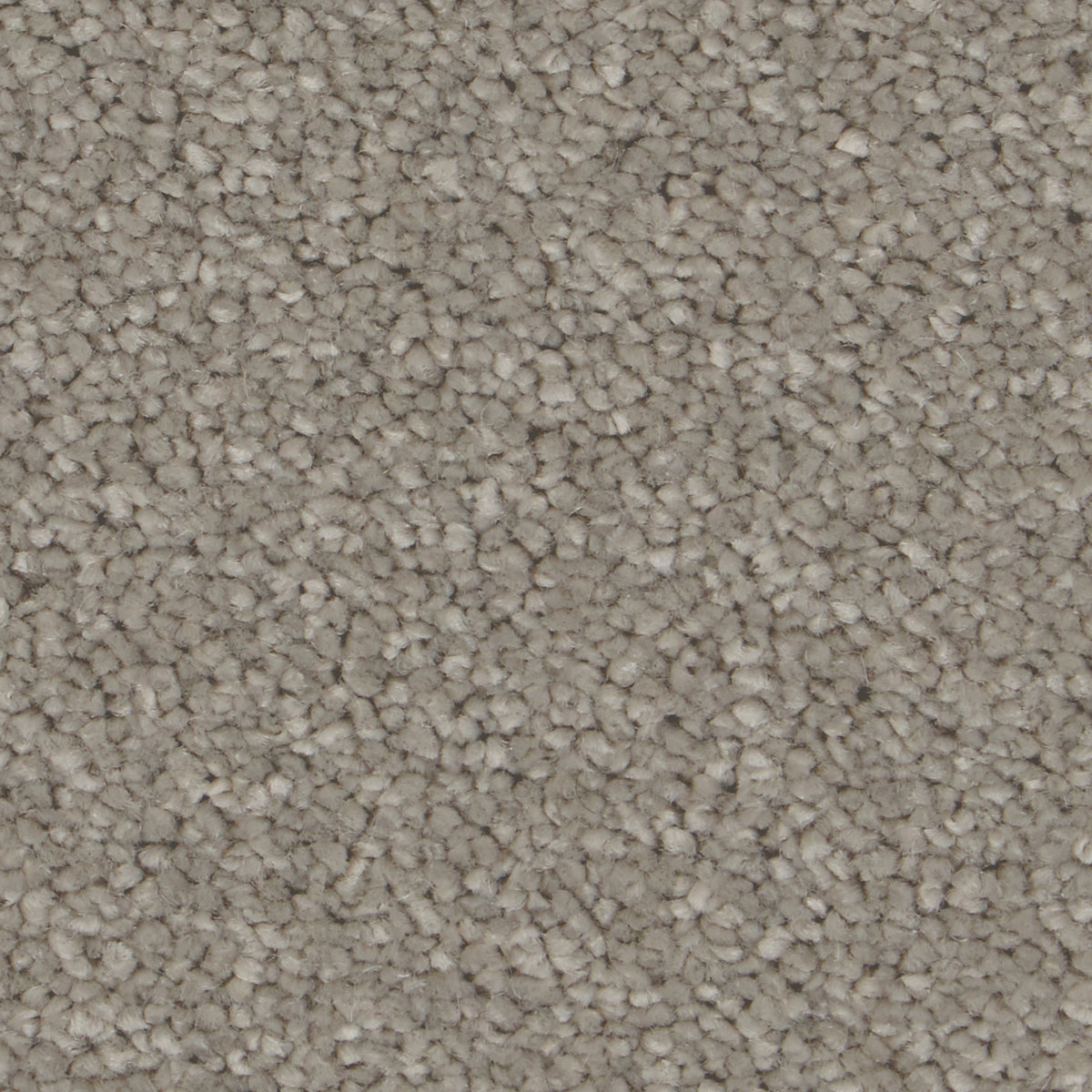 Sensation Original AB Siberian Mink Carpet
