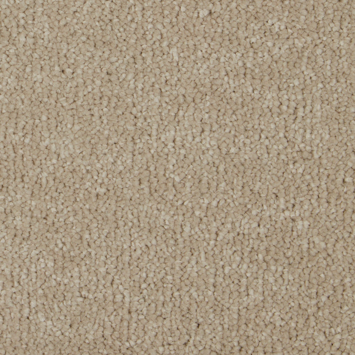 Sensation Original AB Latte Carpet