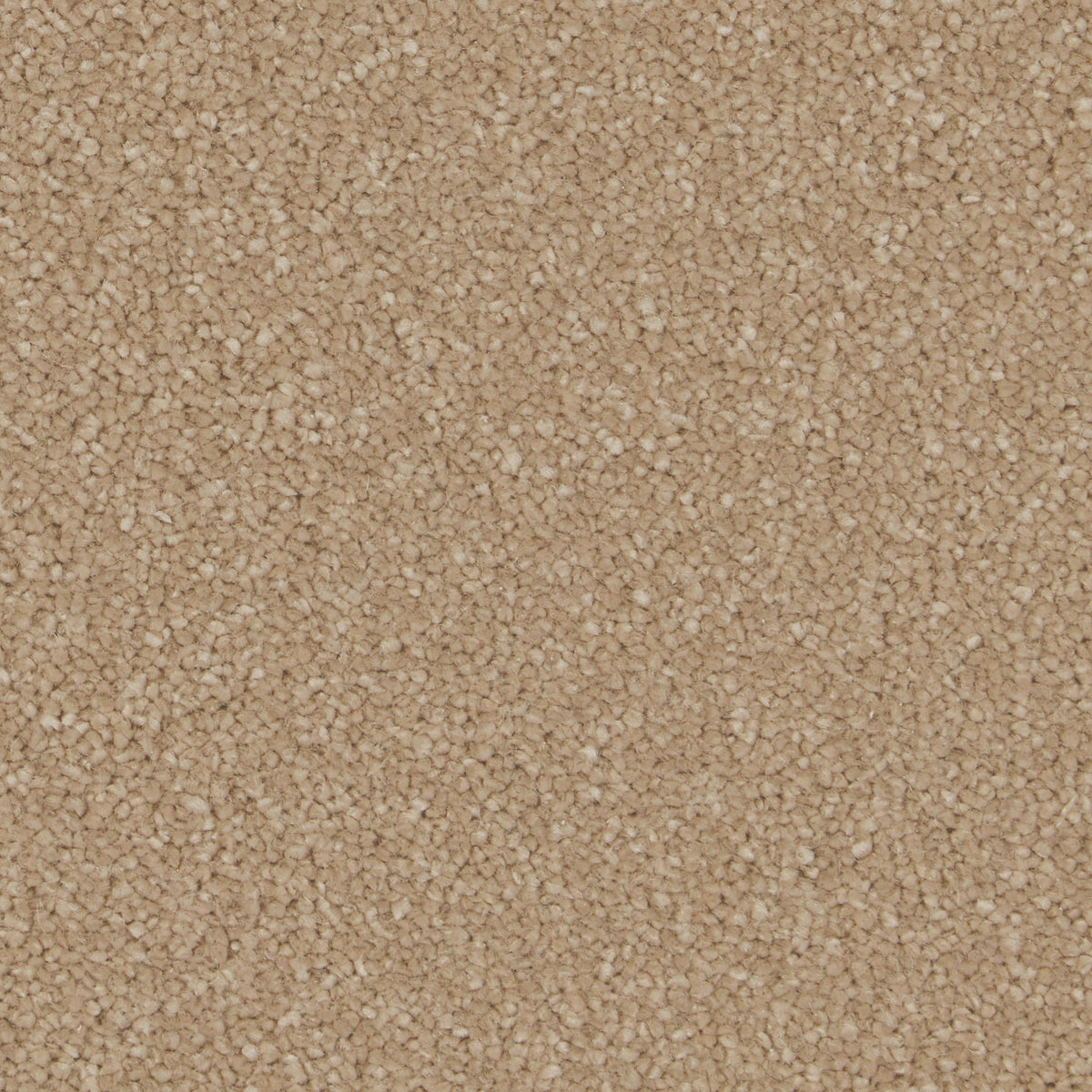 Sensation Original AB Gazelle Carpet