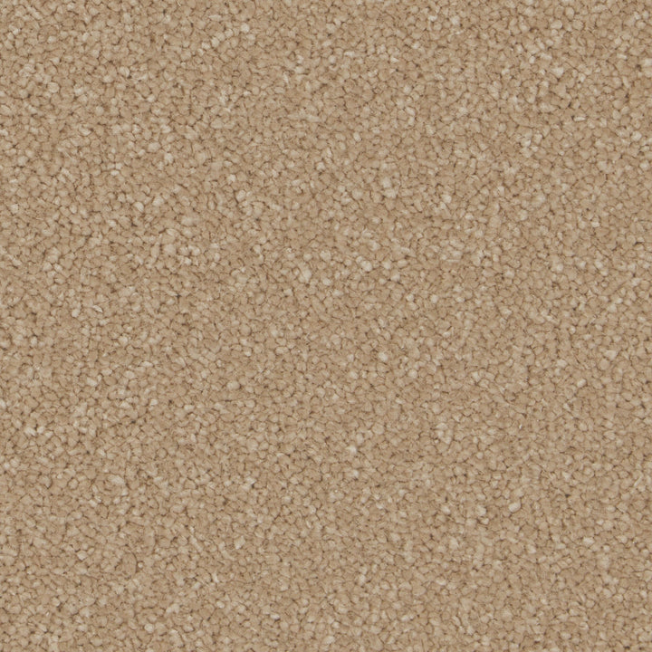 Sensation Original AB Gazelle Carpet