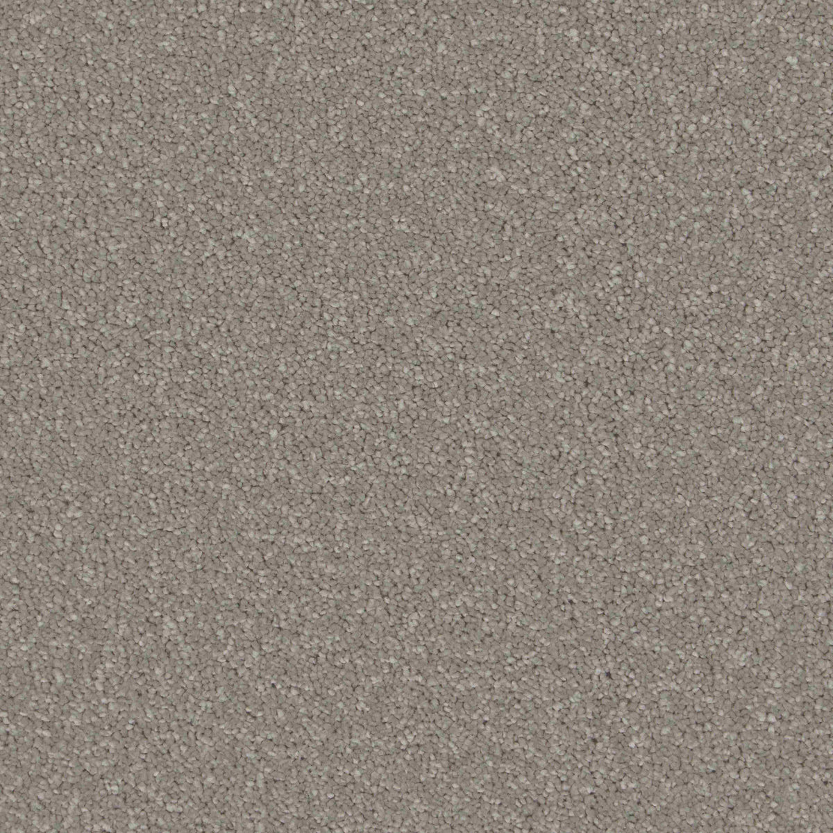 Sensation Original AB Greystone Carpet
