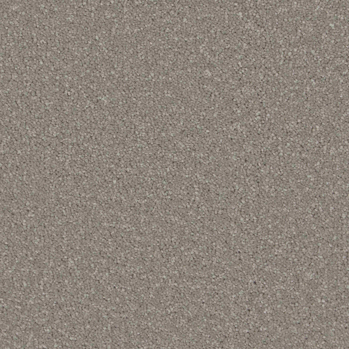 Sensation Original AB Greystone Carpet