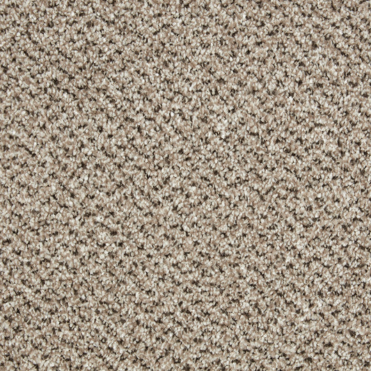 Primo Tweeds Moccasin Carpet