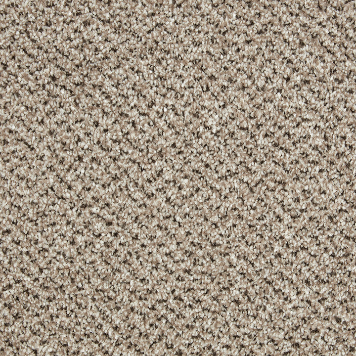 Primo Tweeds Moccasin Carpet