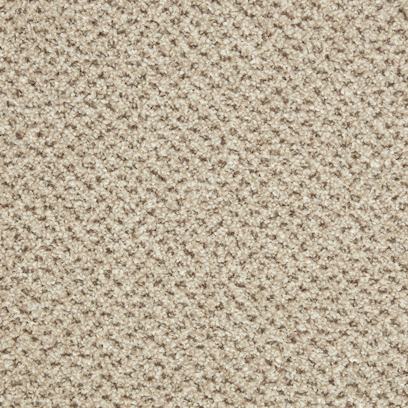 Primo Tweeds Malibu Carpet