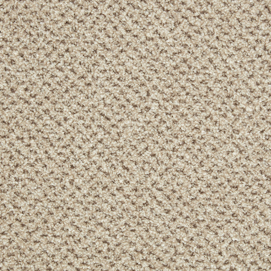 Primo Tweeds Malibu Carpet