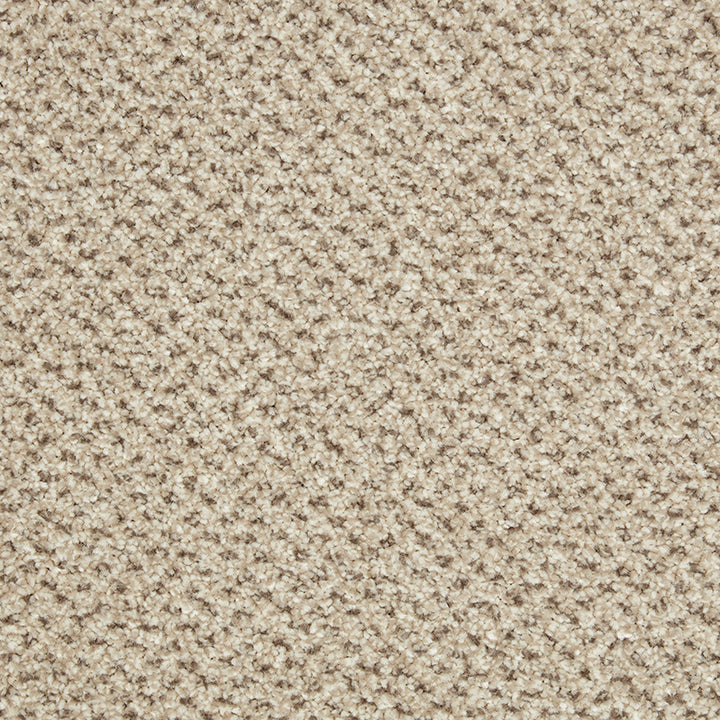 Primo Tweeds Malibu Carpet