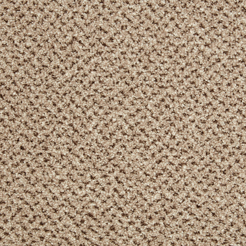 Primo Tweeds Westwood Beige Carpet