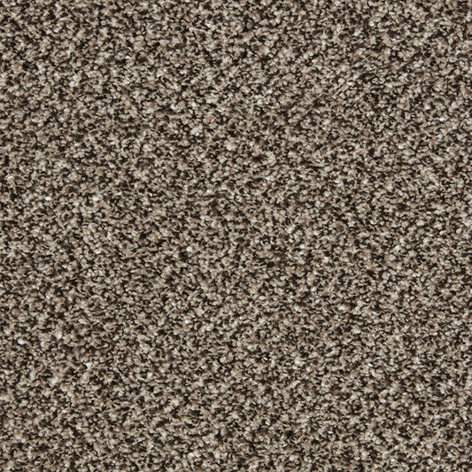 Primo Tweeds Rock Heath Carpet