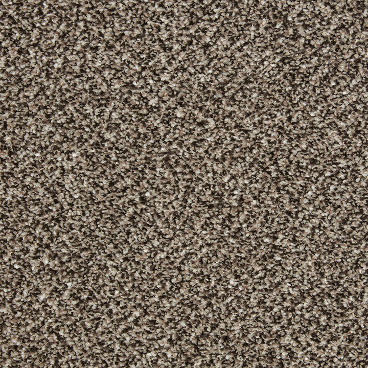Primo Tweeds Rock Heath Carpet