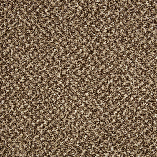 Primo Tweeds Brownstone Carpet