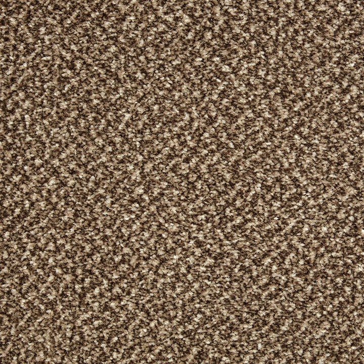 Primo Tweeds Brownstone Carpet