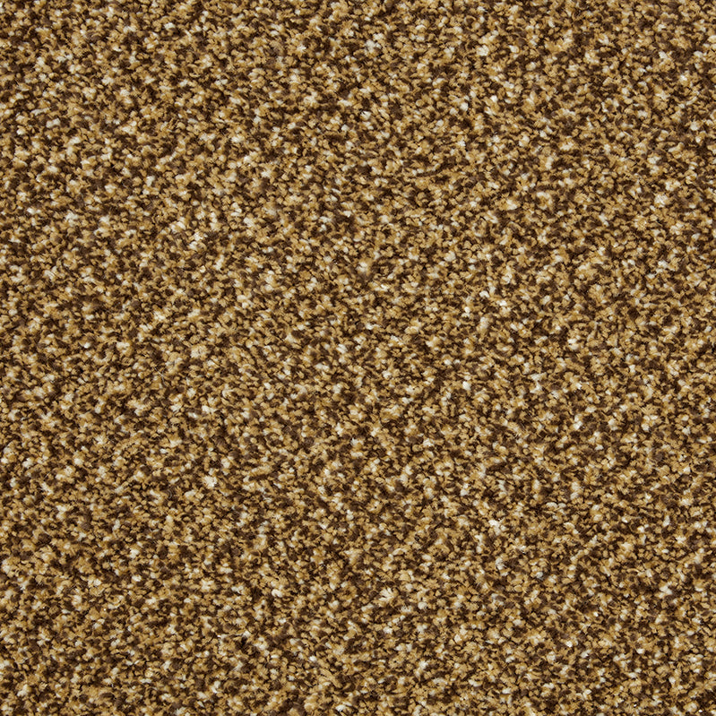Primo Tweeds Butterscotch Carpet