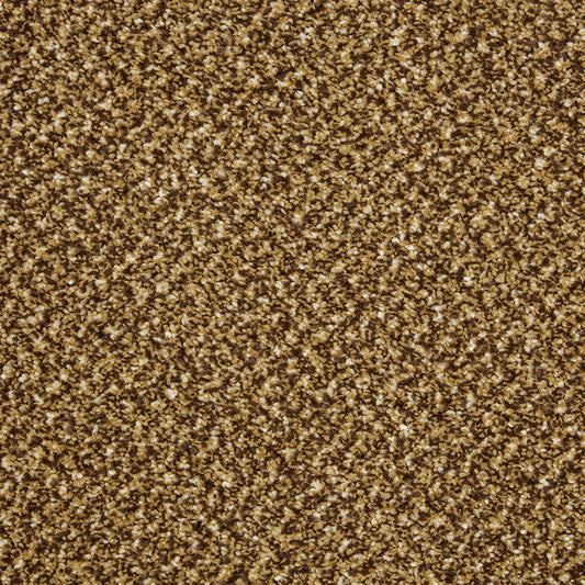 Primo Tweeds Butterscotch Carpet