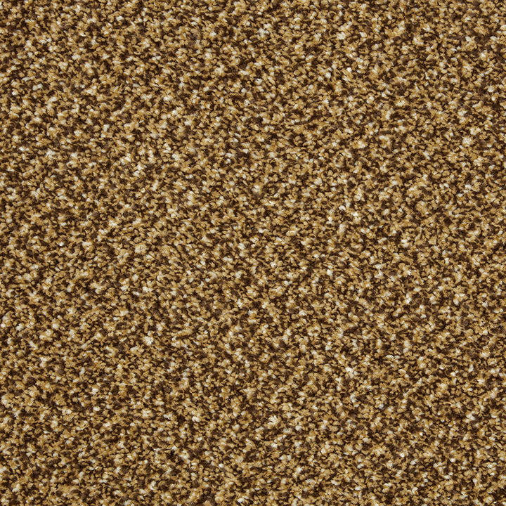 Primo Tweeds Butterscotch Carpet