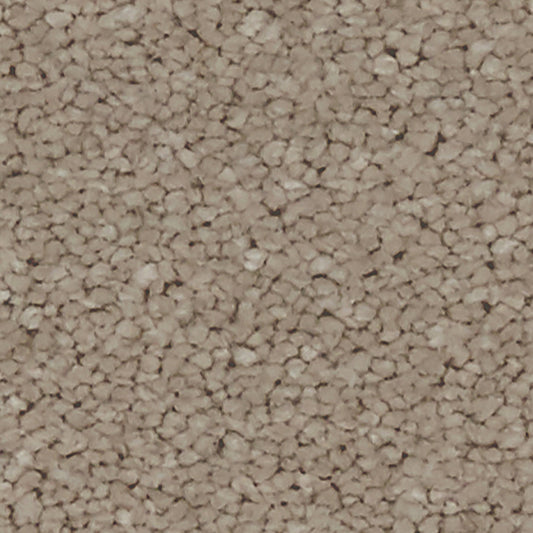 Linwood SB Cappucino Carpet