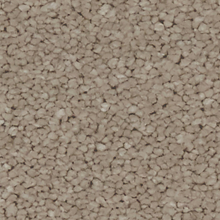 Linwood SB Cappucino Carpet