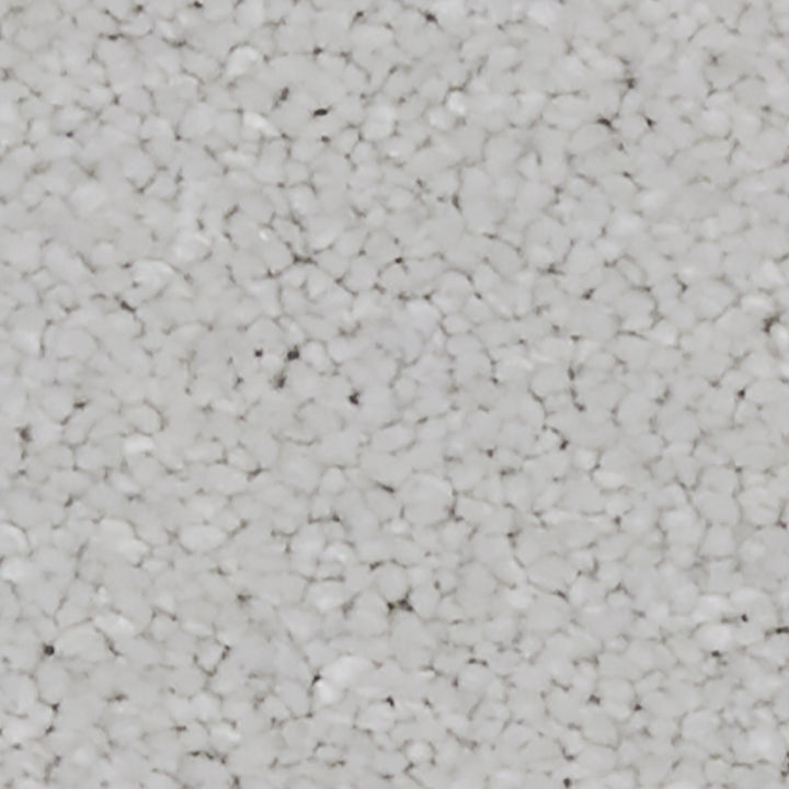 Linwood SB Supernova Carpet