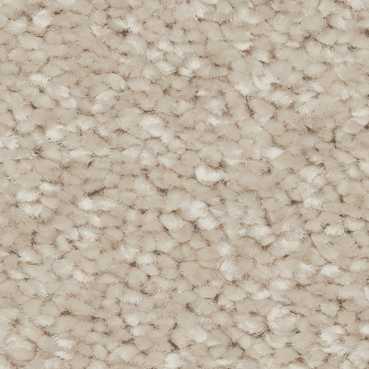 Riva SB Periwinkle Carpet