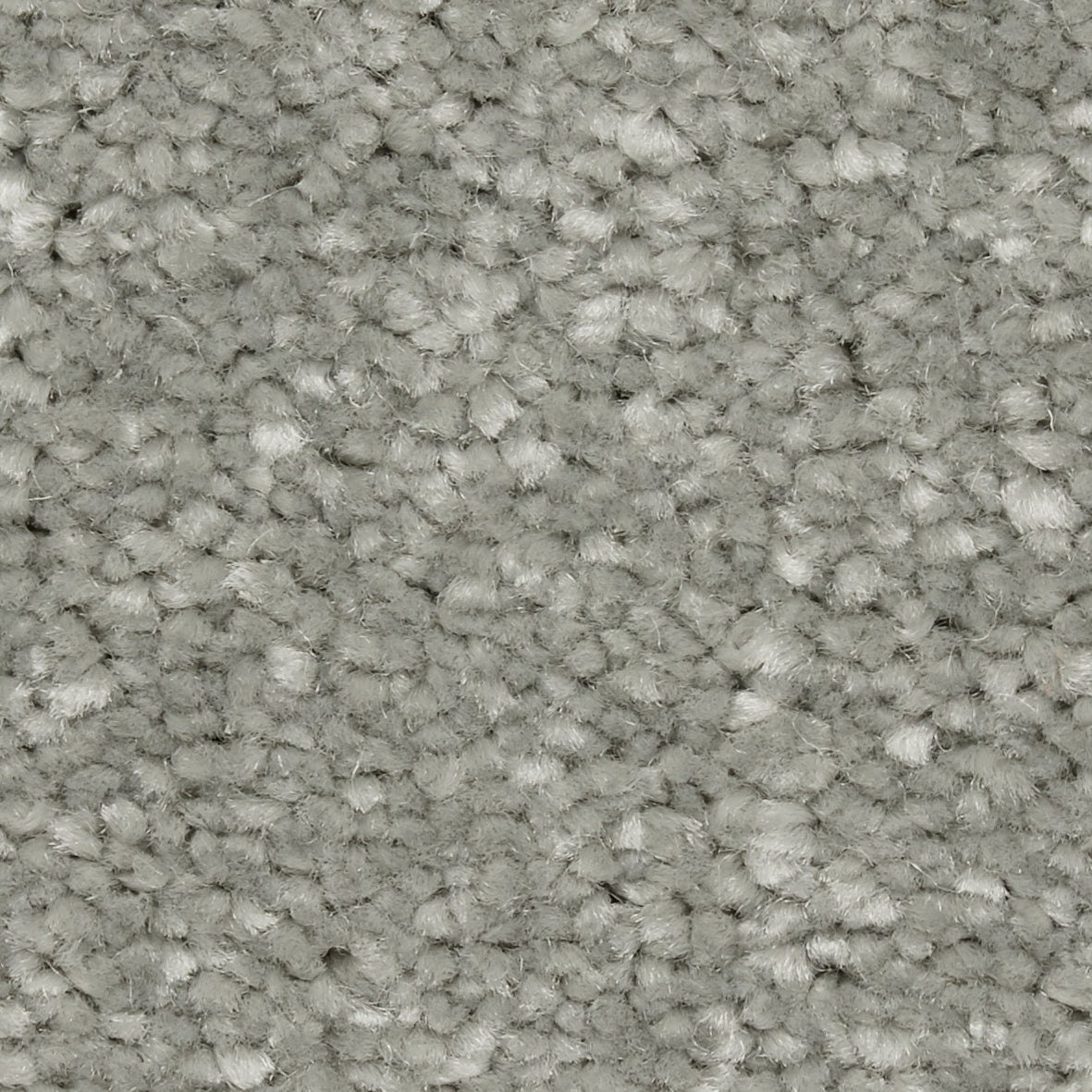 Riva SB Dolphin Carpet